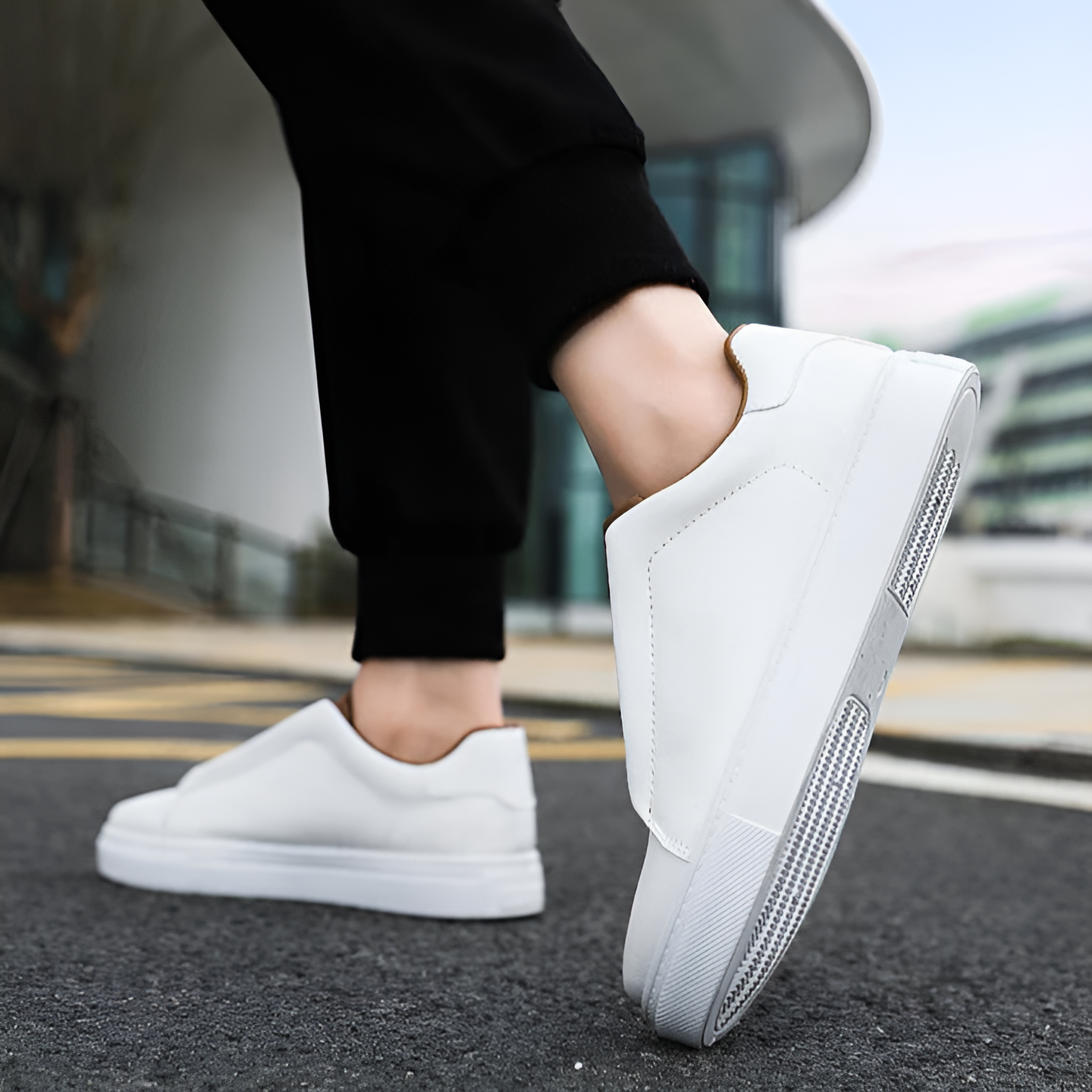 Bernardo | Stylish Sneakers