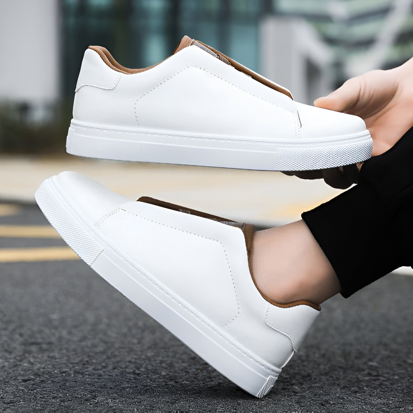 Bernardo | Stylish Sneakers